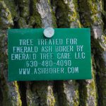 Ash Tree Tag